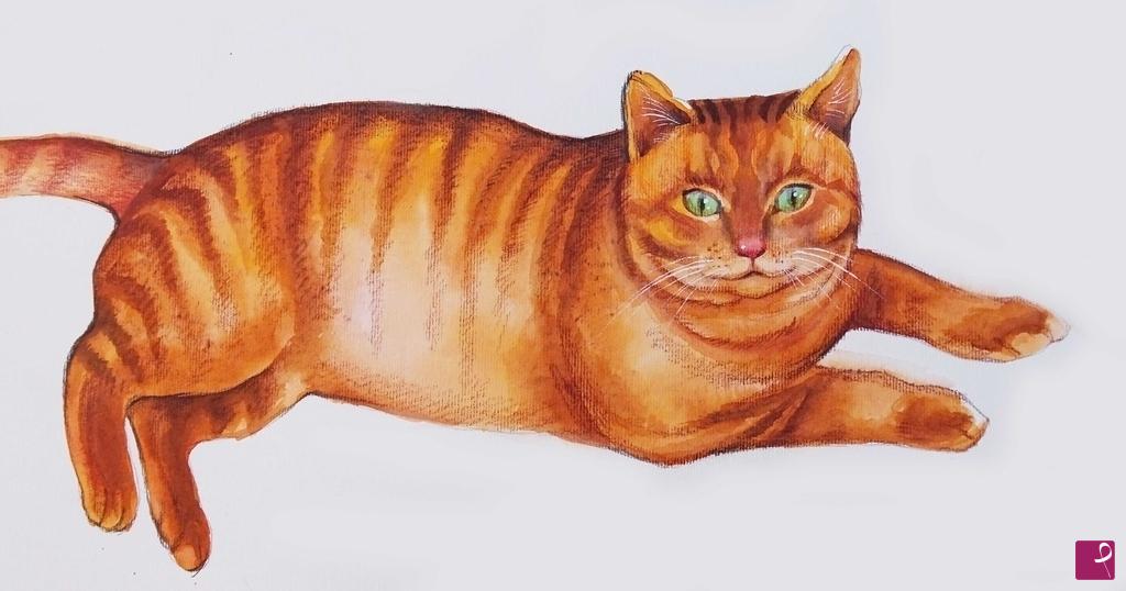 quadri in vendita online - gatto