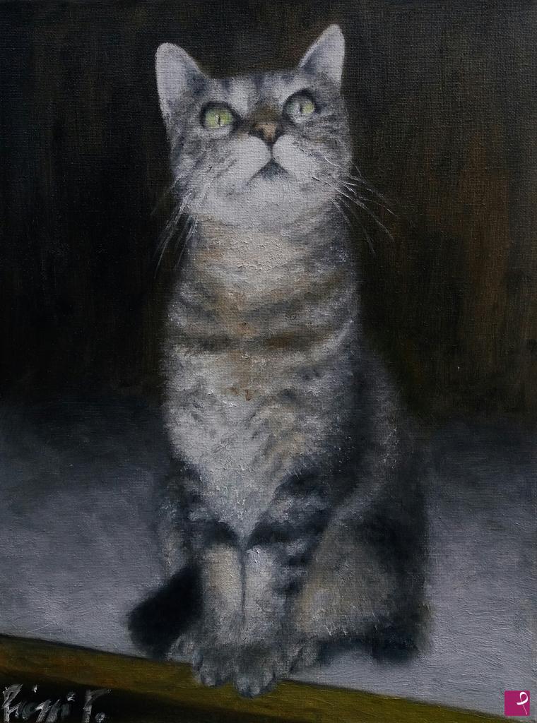 quadri in vendita online - GATTO