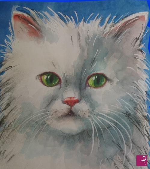 quadri in vendita online - gatto