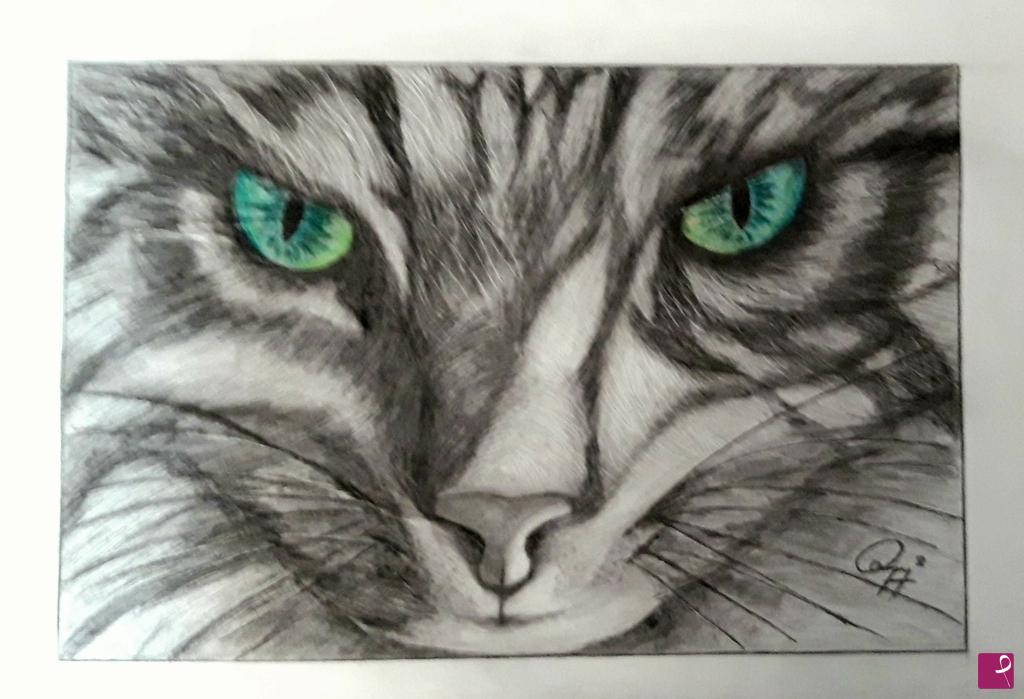 quadri in vendita online - Gatto