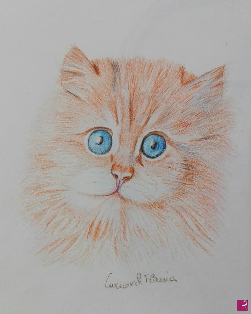 quadri in vendita online - Gatto