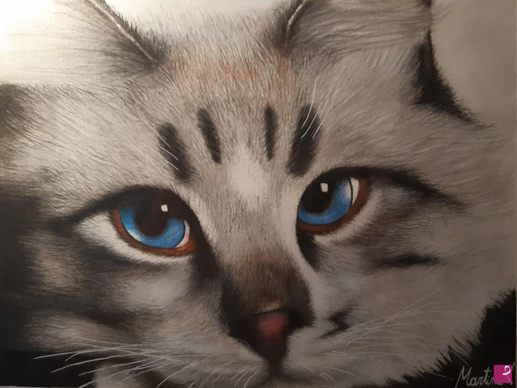 quadri in vendita online - Gatto