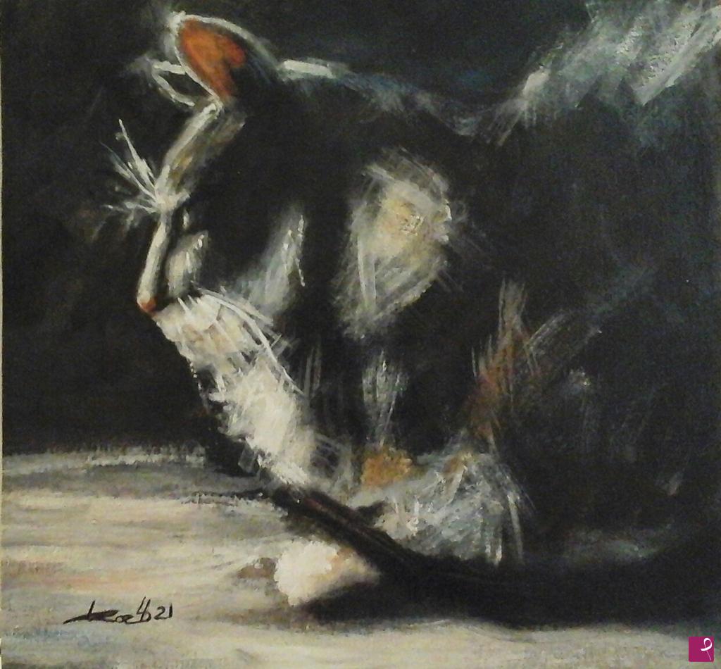 quadri in vendita online - Gatto 