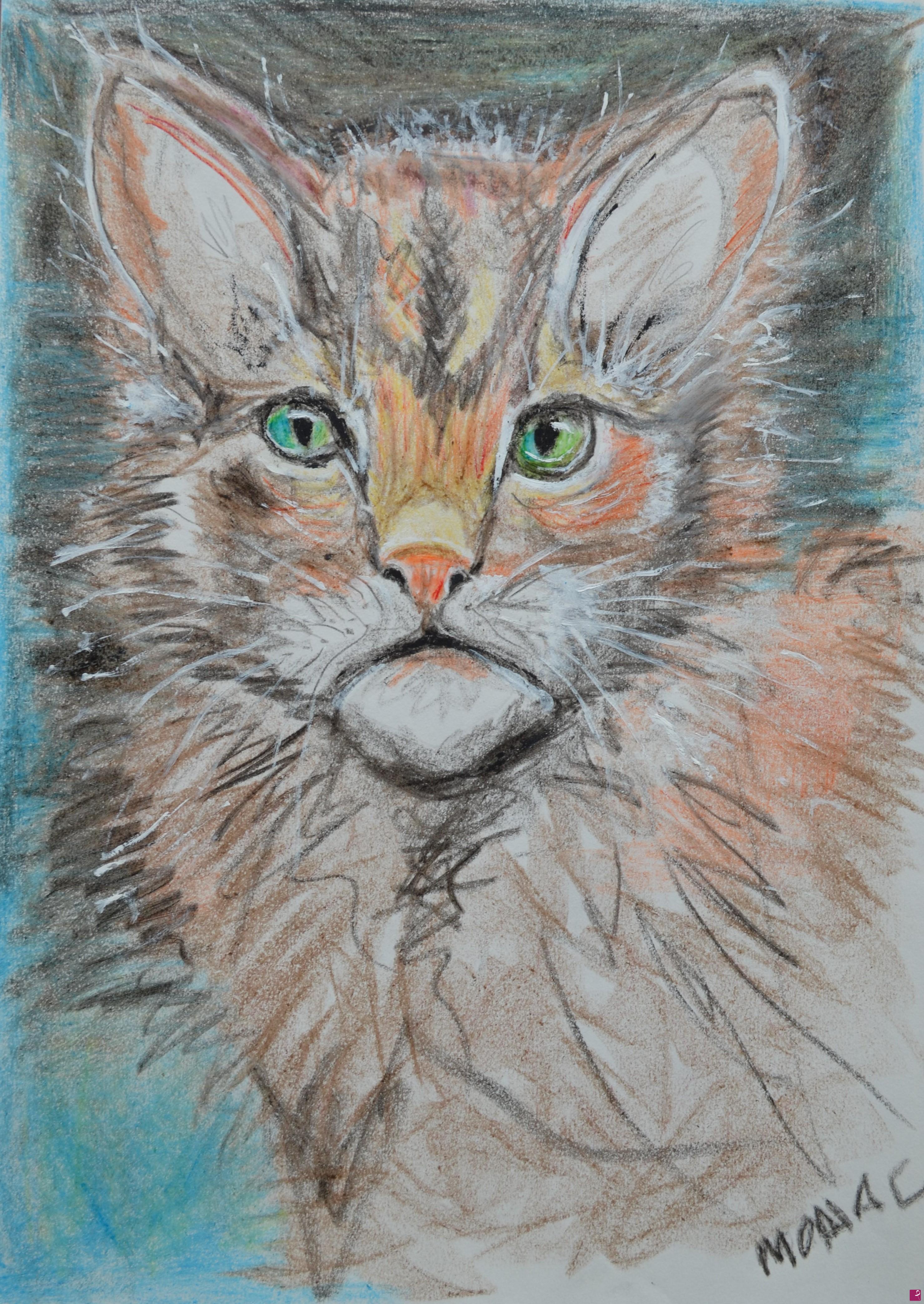 quadri in vendita online - Gatto