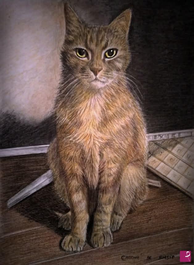 quadri in vendita online - gatto