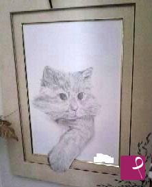 quadri in vendita online - GATTO 3D