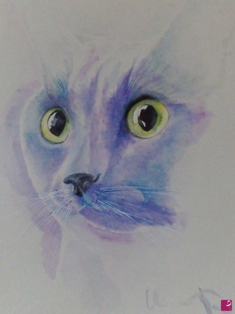 quadri in vendita online - gatto