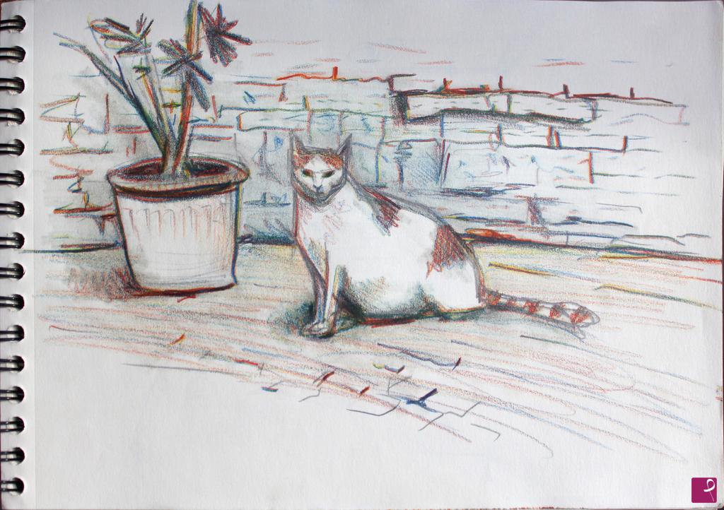 quadri in vendita online - Gatto a Sarnano
