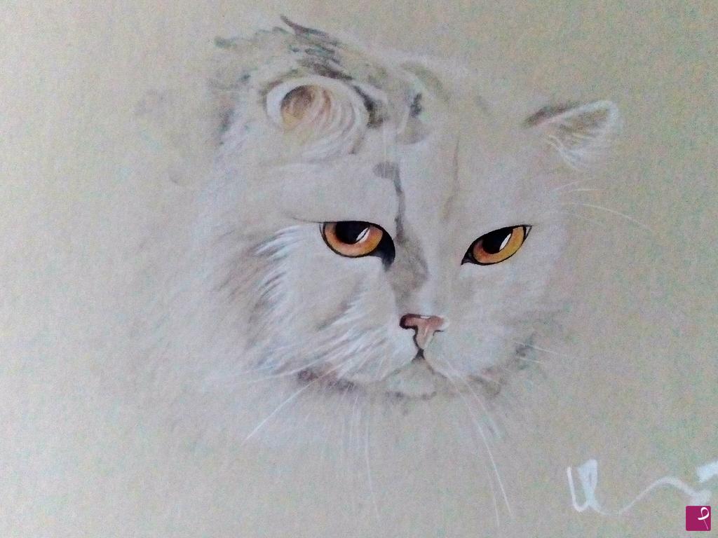 quadri in vendita online - gatto bianco