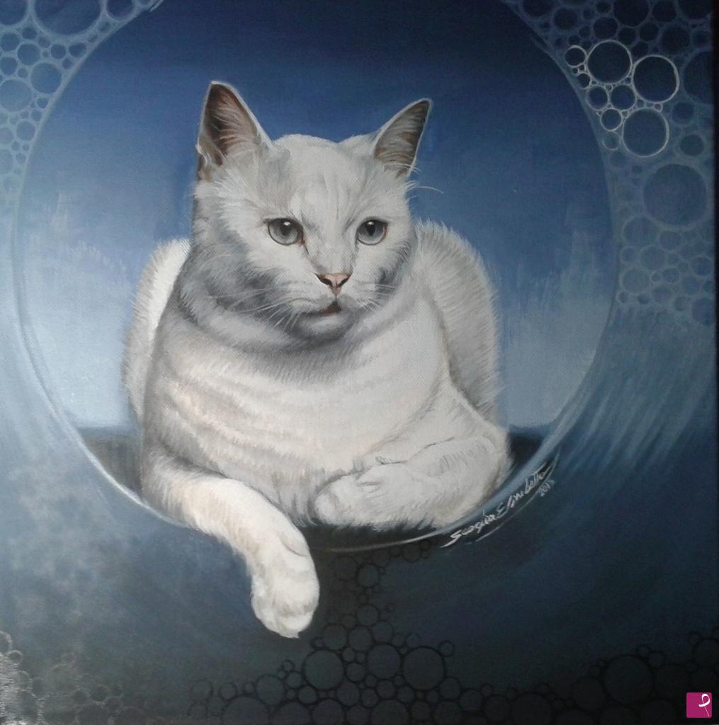 quadri in vendita online - Gatto con bolle