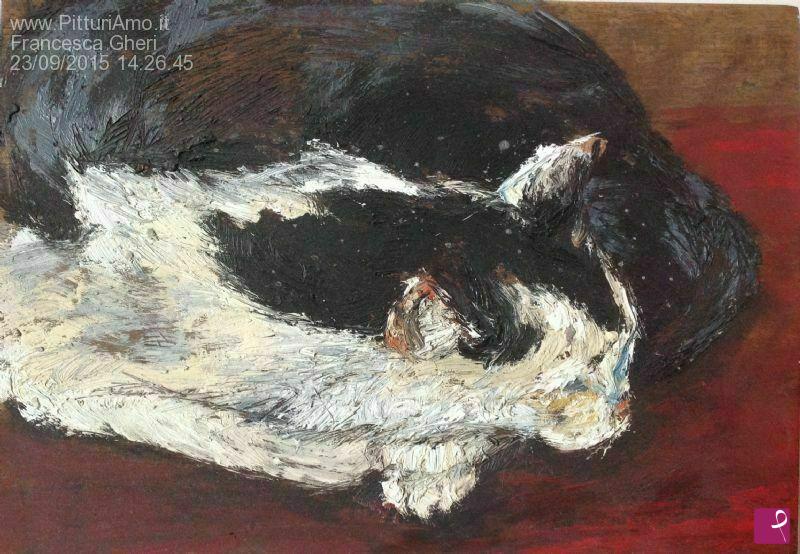 quadri in vendita online - Gatto con coperta rossa