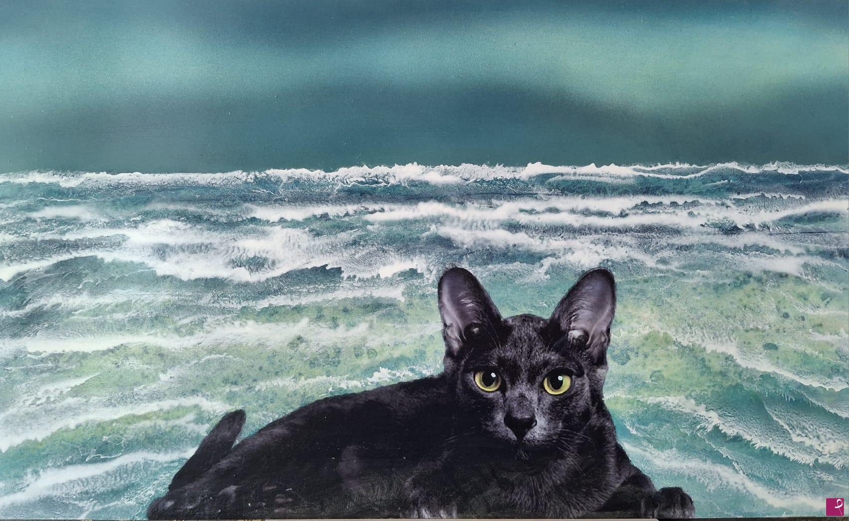 quadri in vendita online - Gatto con sfondo marino