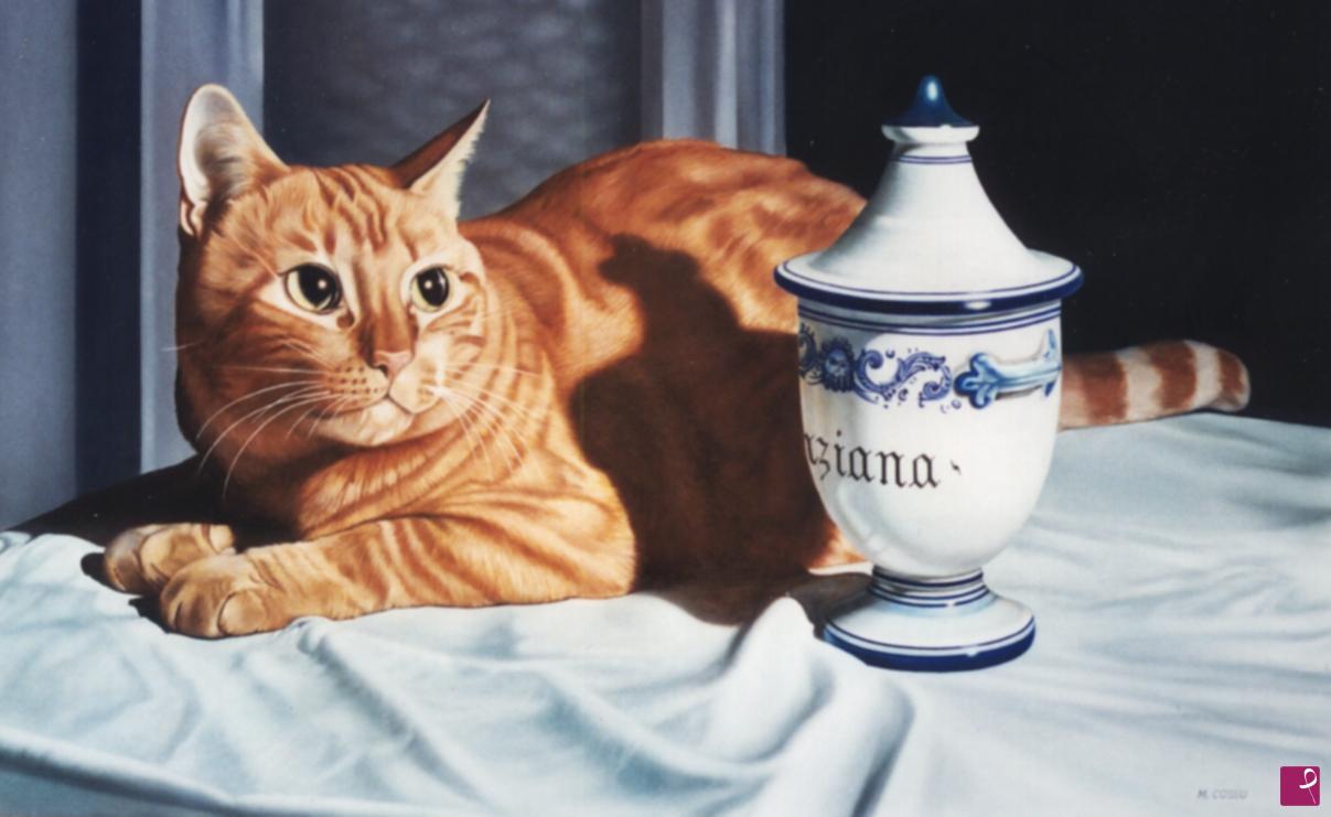 quadri in vendita online - Gatto-genziana