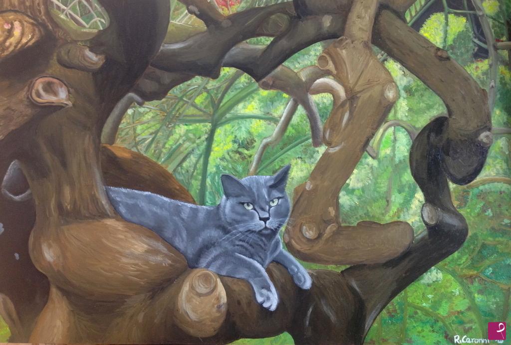 quadri in vendita online - gatto grigio