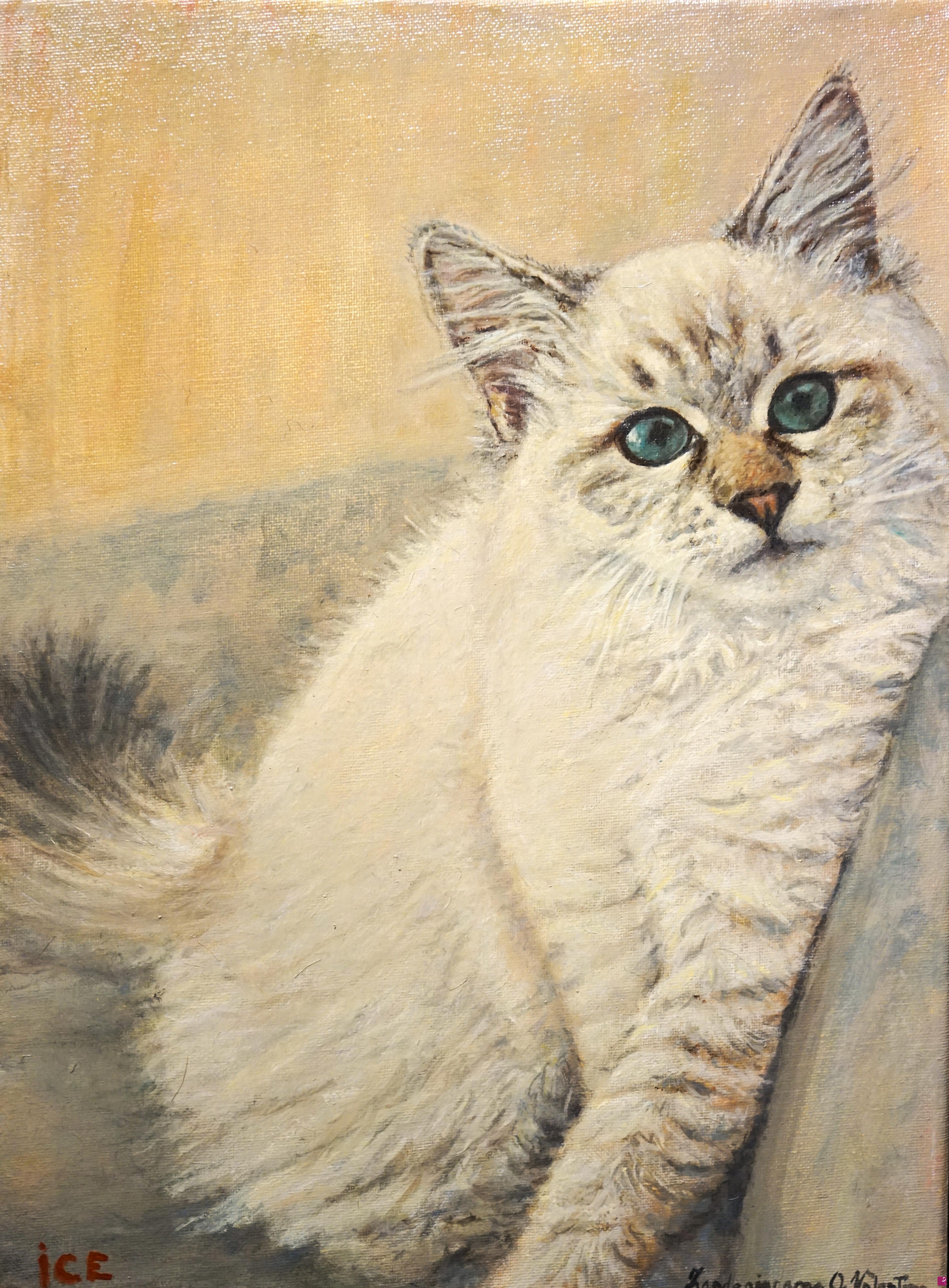 quadri in vendita online - gatto ICE