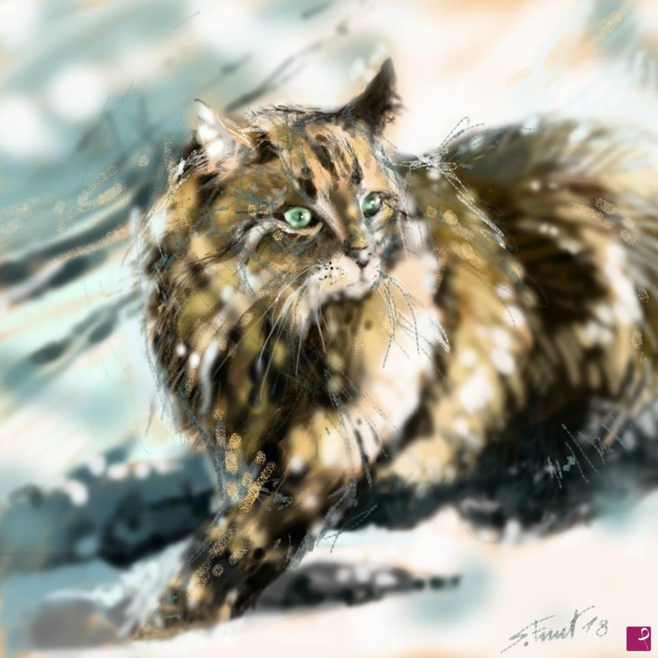 quadri in vendita online - Gatto nella neve
