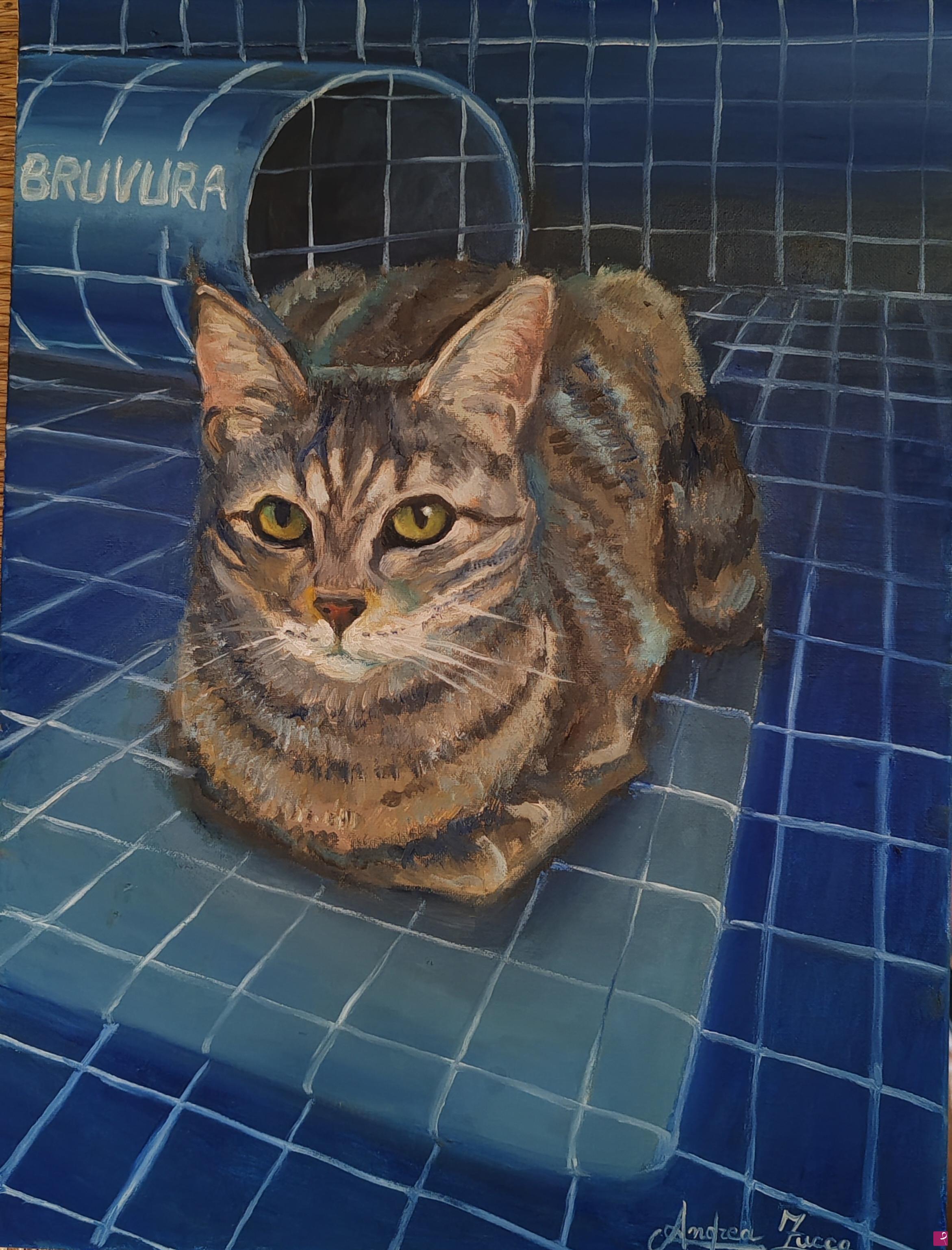 quadri in vendita online - Gatto nella scatola