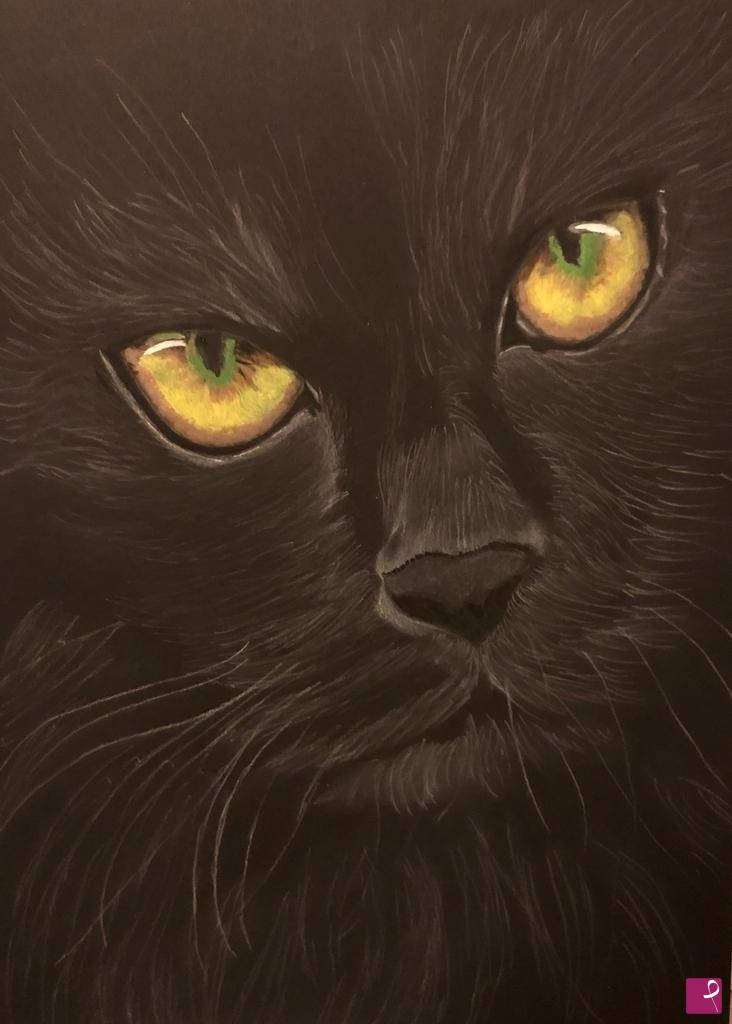 quadri in vendita online - Gatto nero