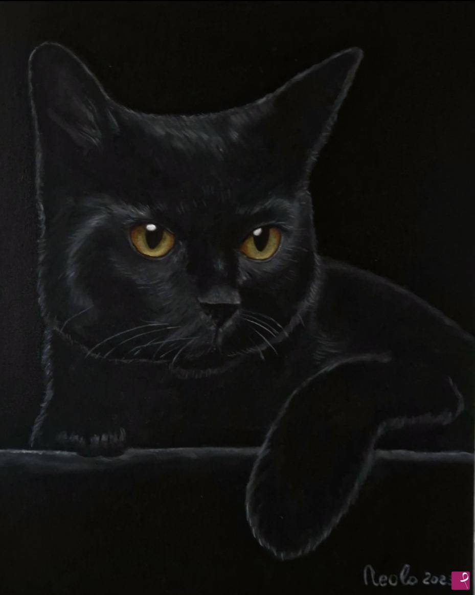 quadri in vendita online - Gatto Nero 