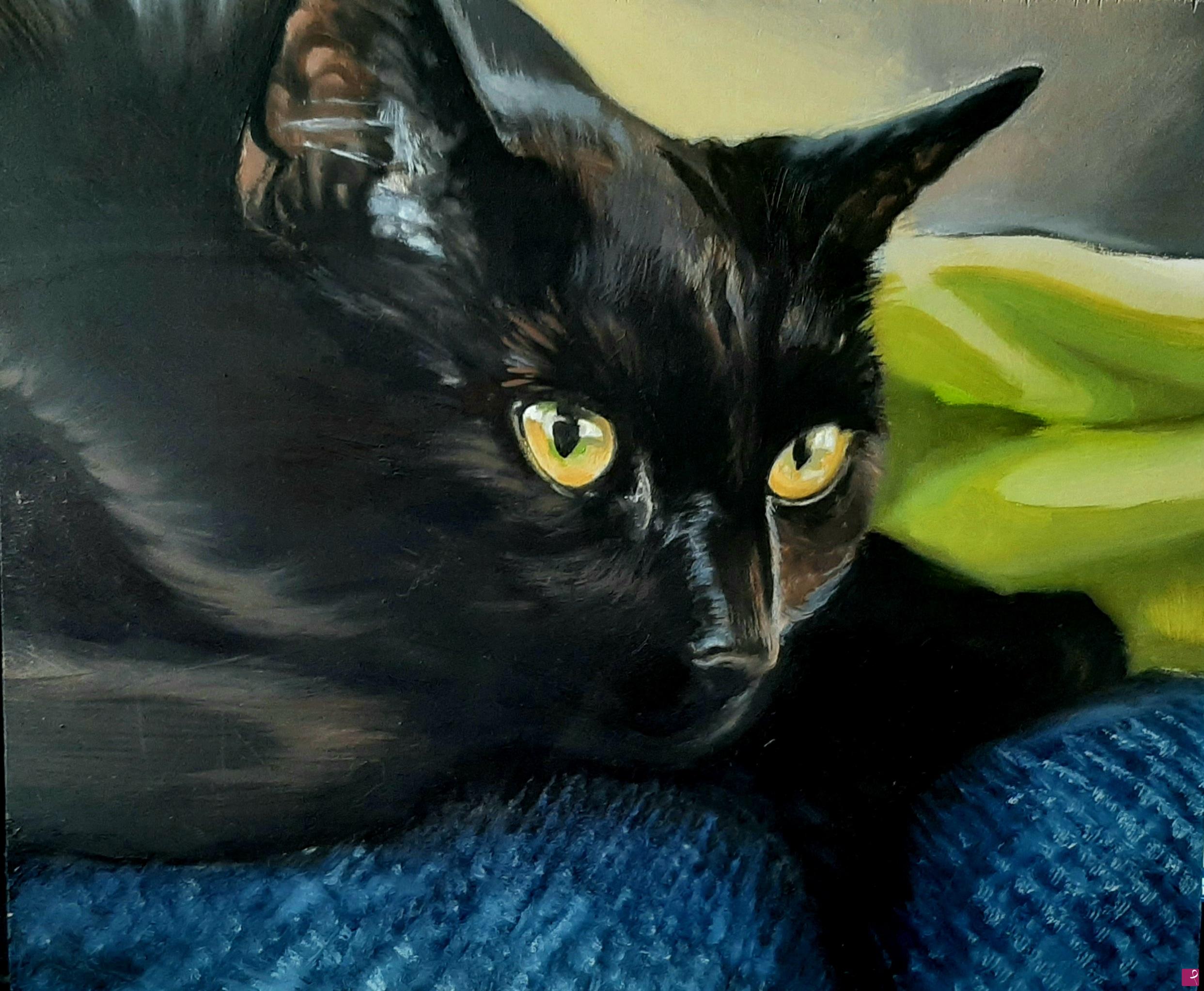 quadri in vendita online - Gatto nero
