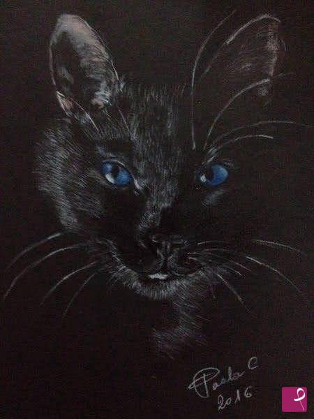 quadri in vendita online - GATTO NERO CON OCCHI BLU
