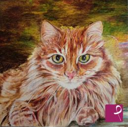 quadri in vendita online - Gatto rosso