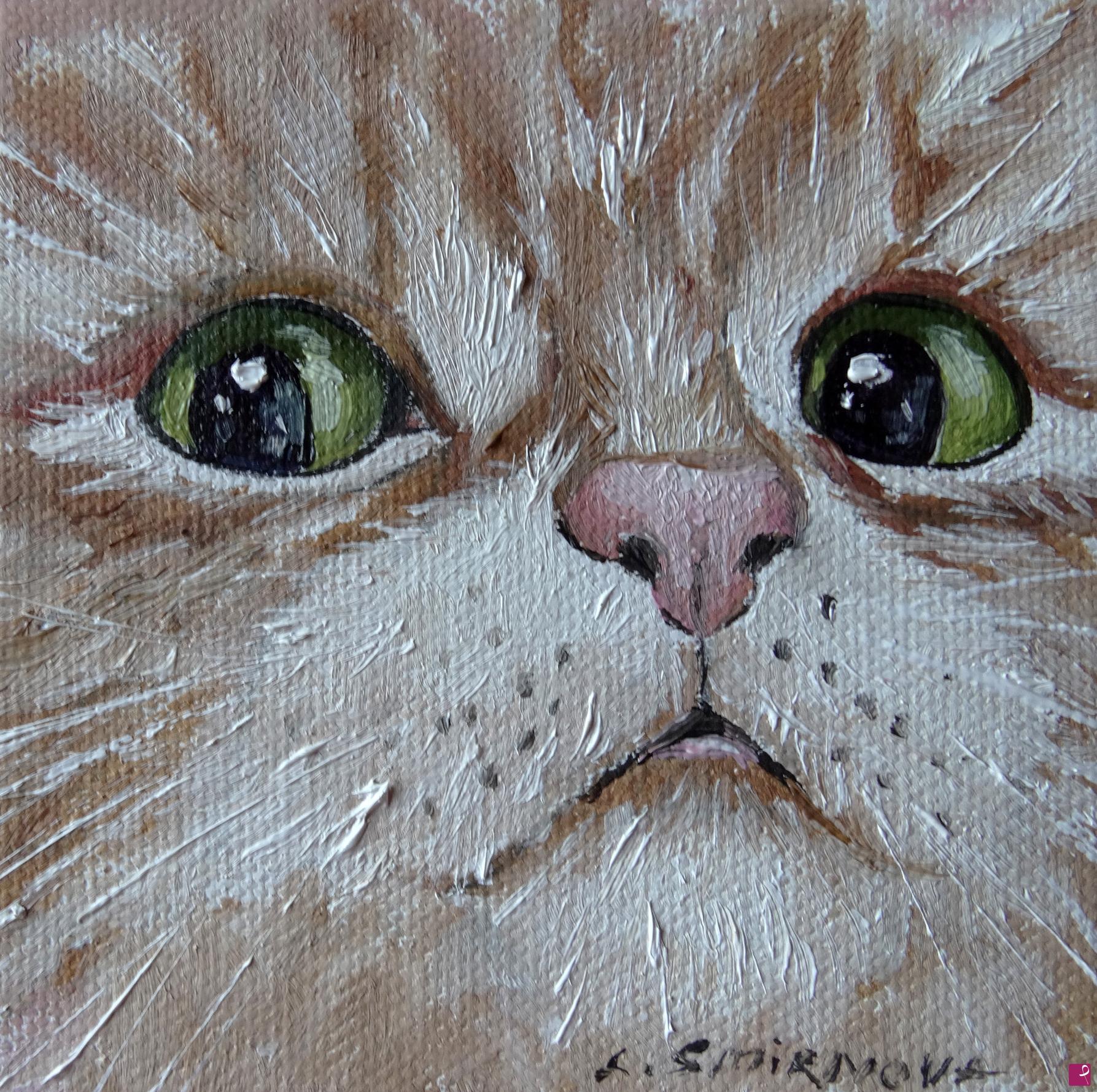 quadri in vendita online - Gatto rosso