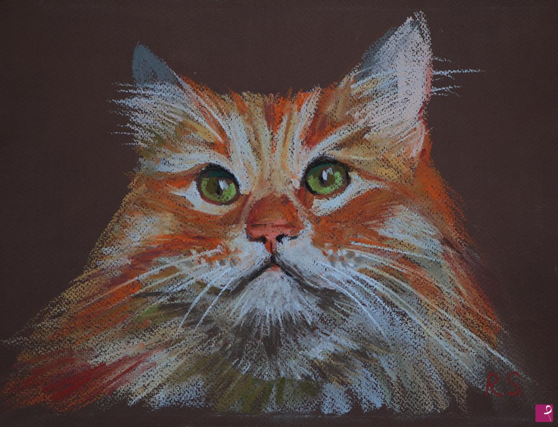 quadri in vendita online - Gatto rosso