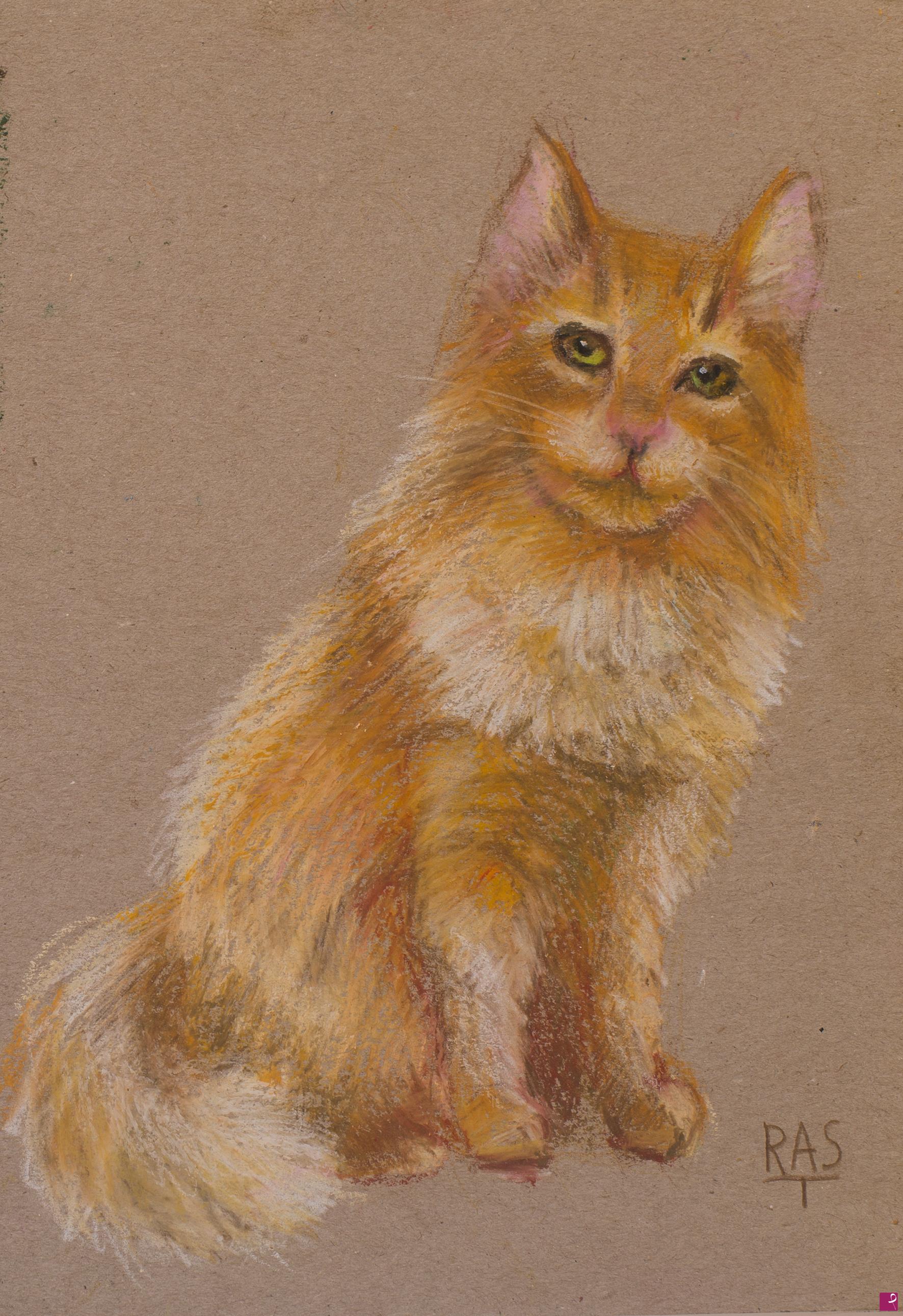 quadri in vendita online - Gatto rosso