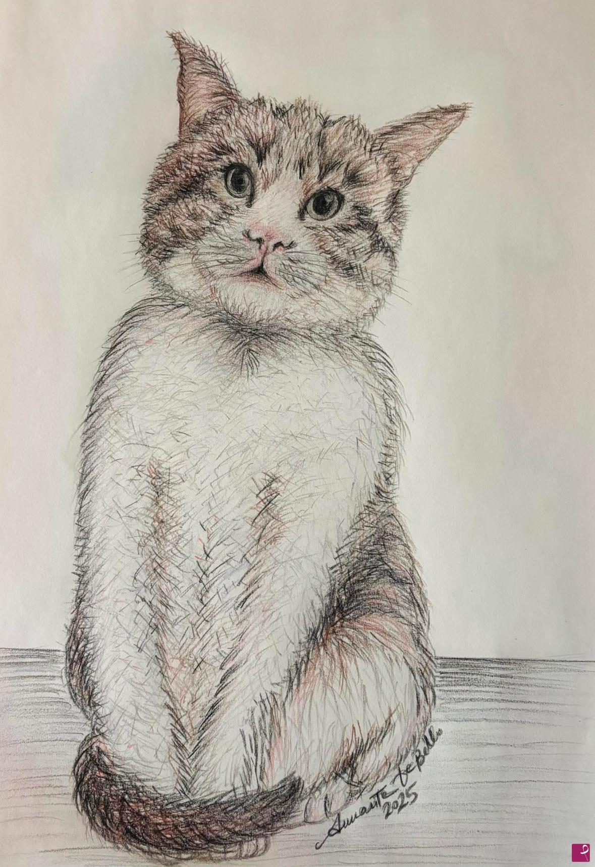 quadri in vendita online - Gatto seduto