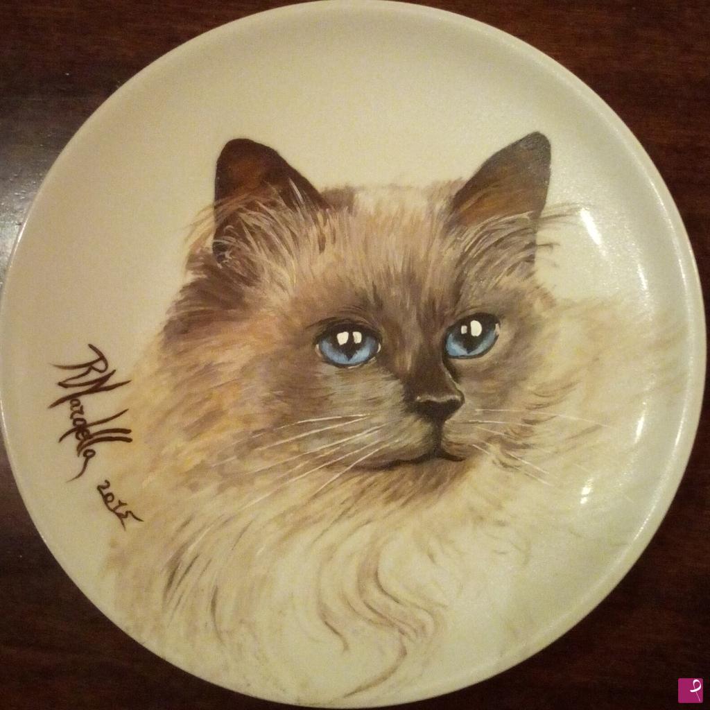 quadri in vendita online -  " GATTO SIAMESE "