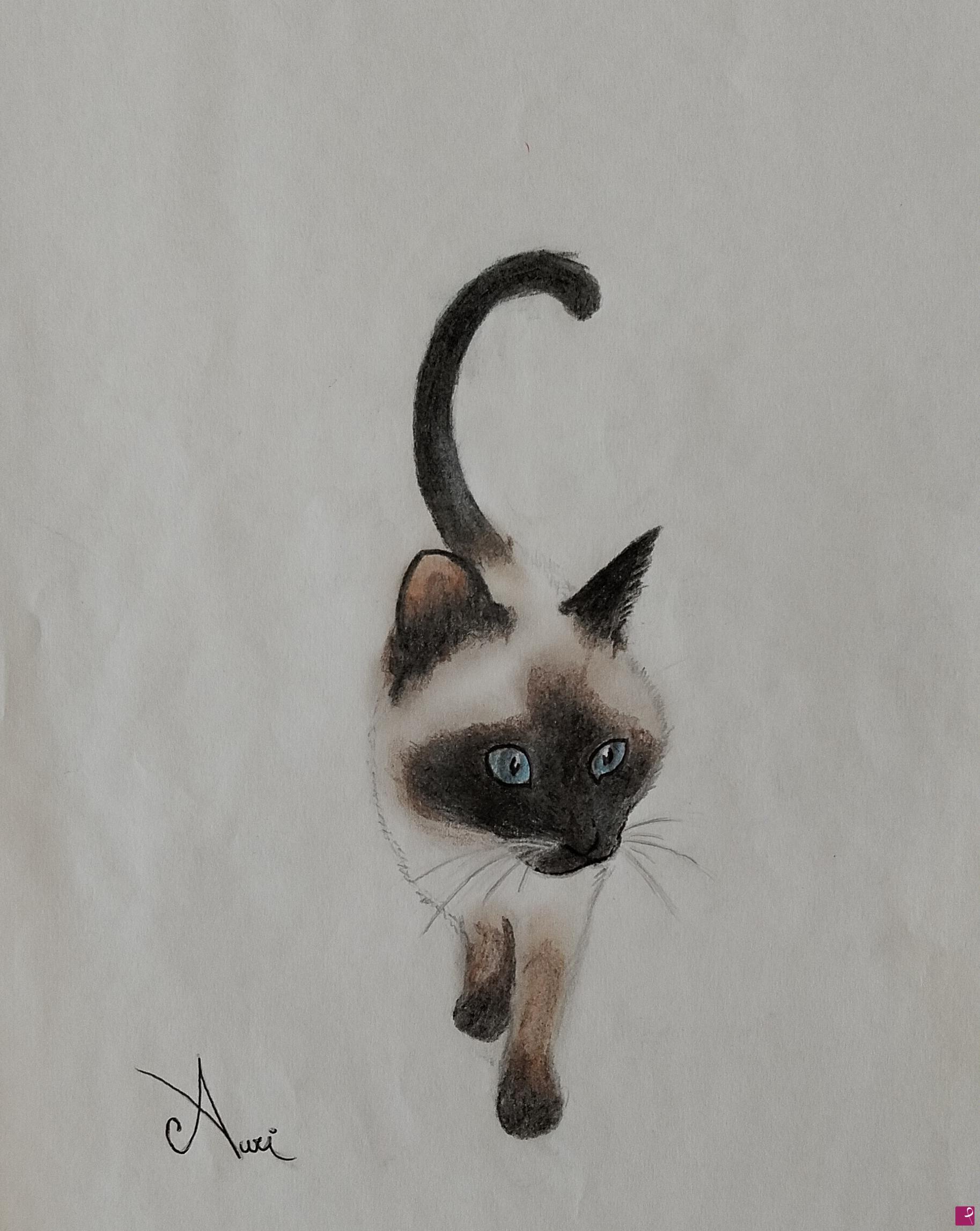 quadri in vendita online - Gatto siamese