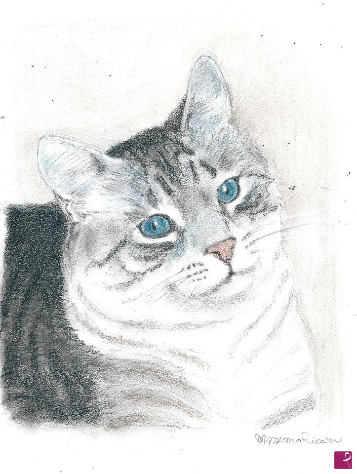 quadri in vendita online - Gatto soriano
