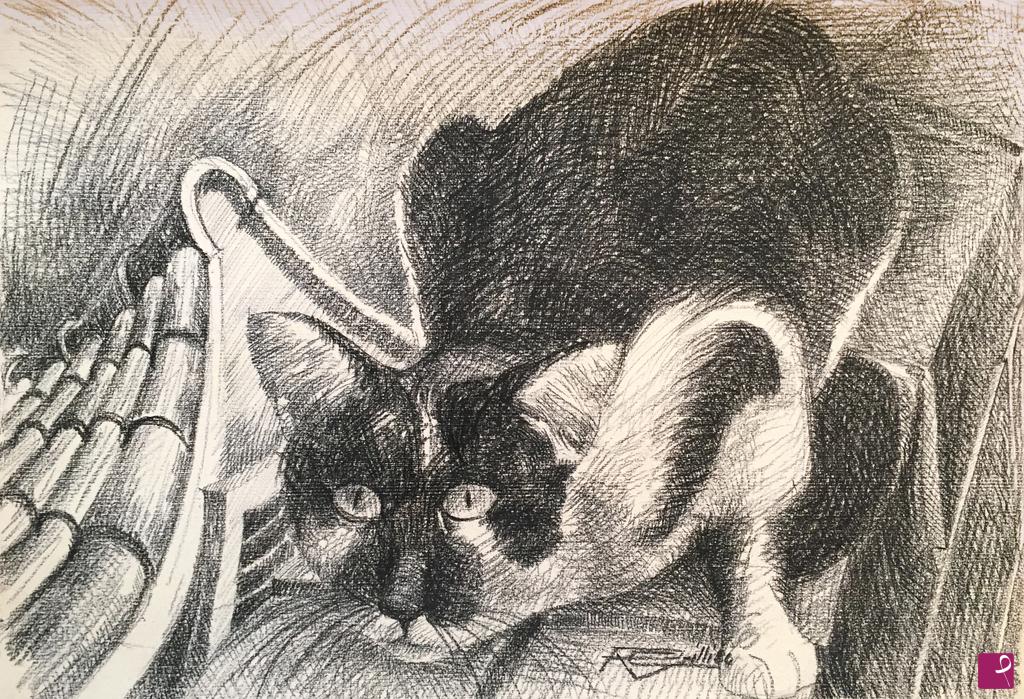quadri in vendita online - Gatto1