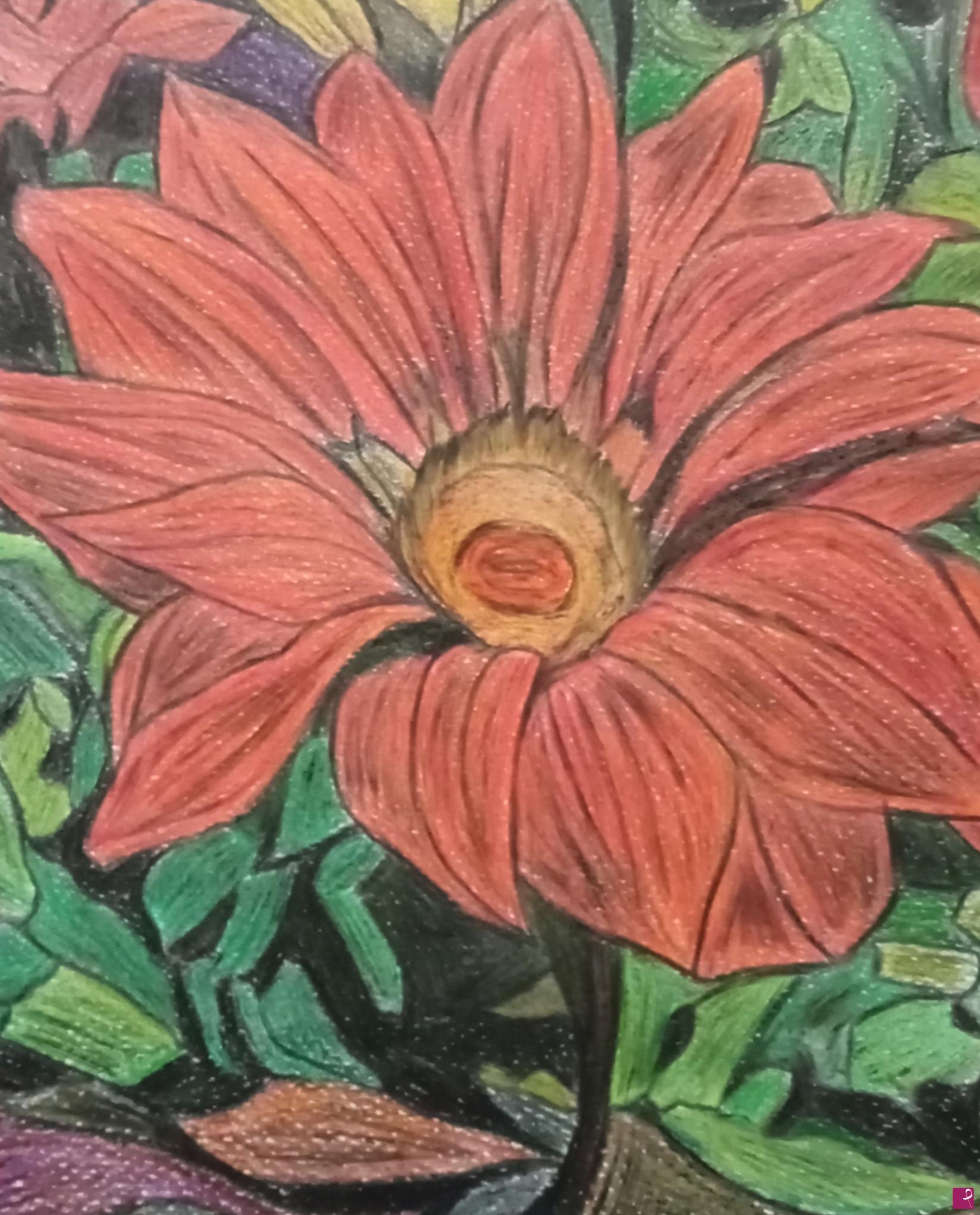 quadri in vendita online - "Gazania splendens"