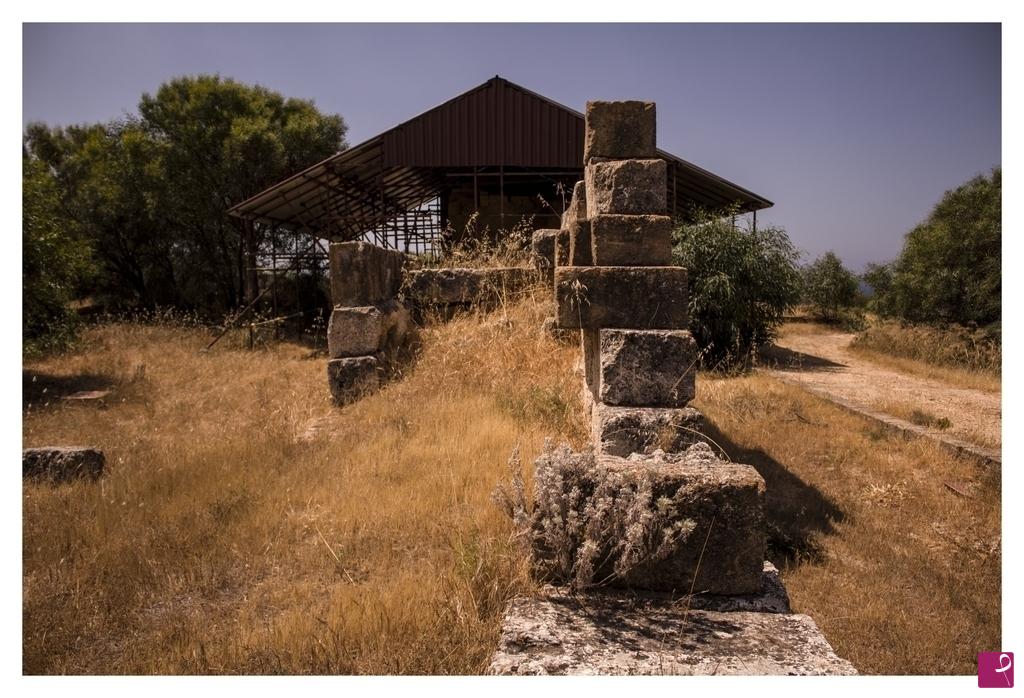quadri in vendita online - Gela: città greca