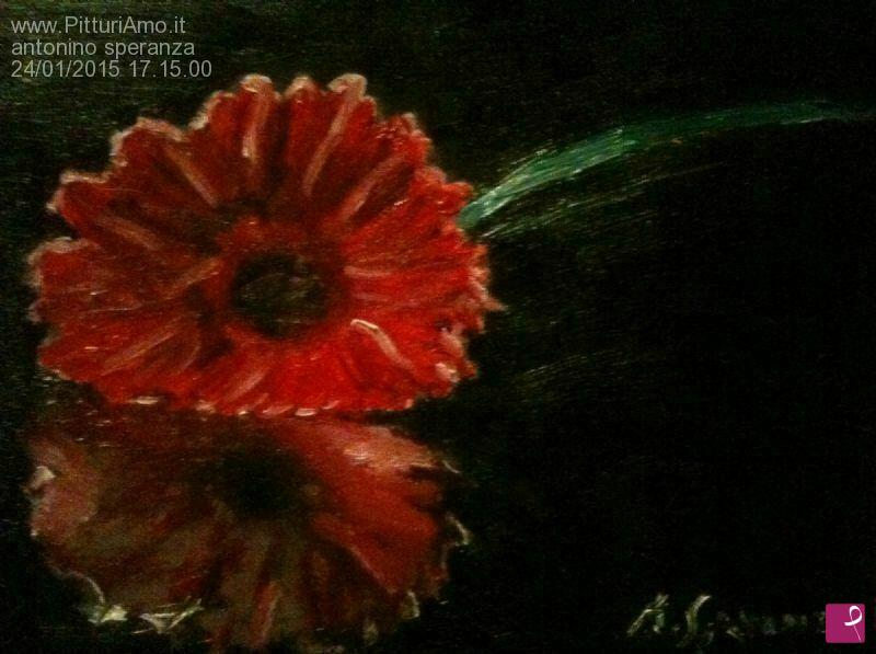 quadri in vendita online - gerbera