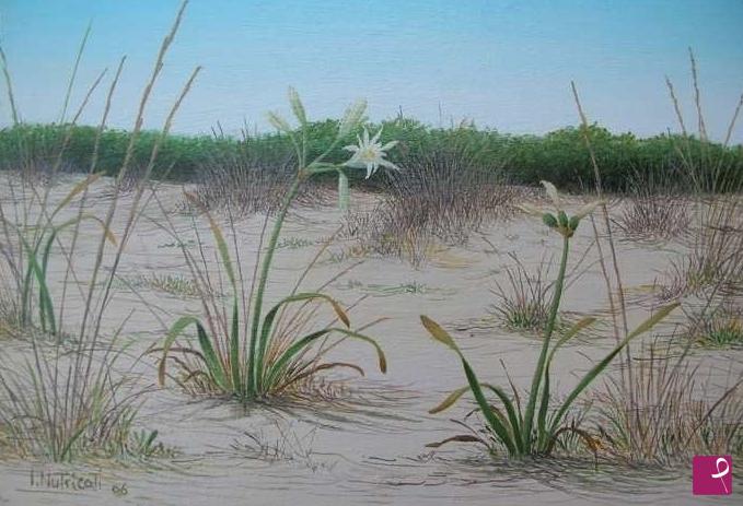 quadri in vendita online - Giglio delle Dune
