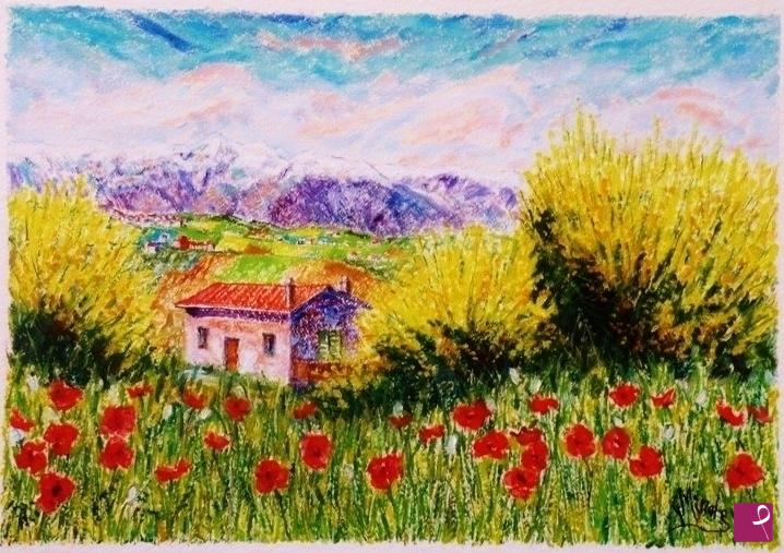 quadri in vendita online - GINESTRE E PAPAVERI 