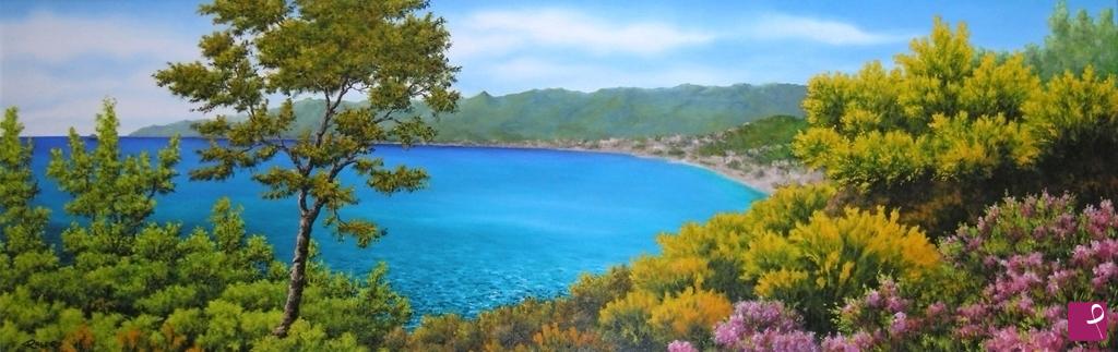 quadri in vendita online - Ginestre sul golfo