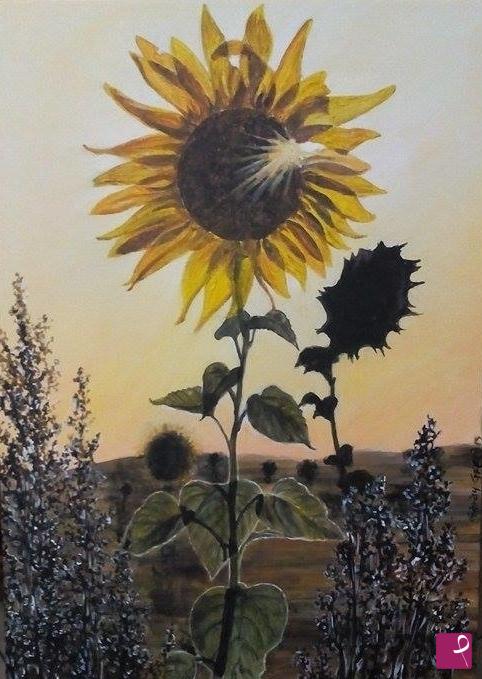 quadri in vendita online - Girasole in controluce