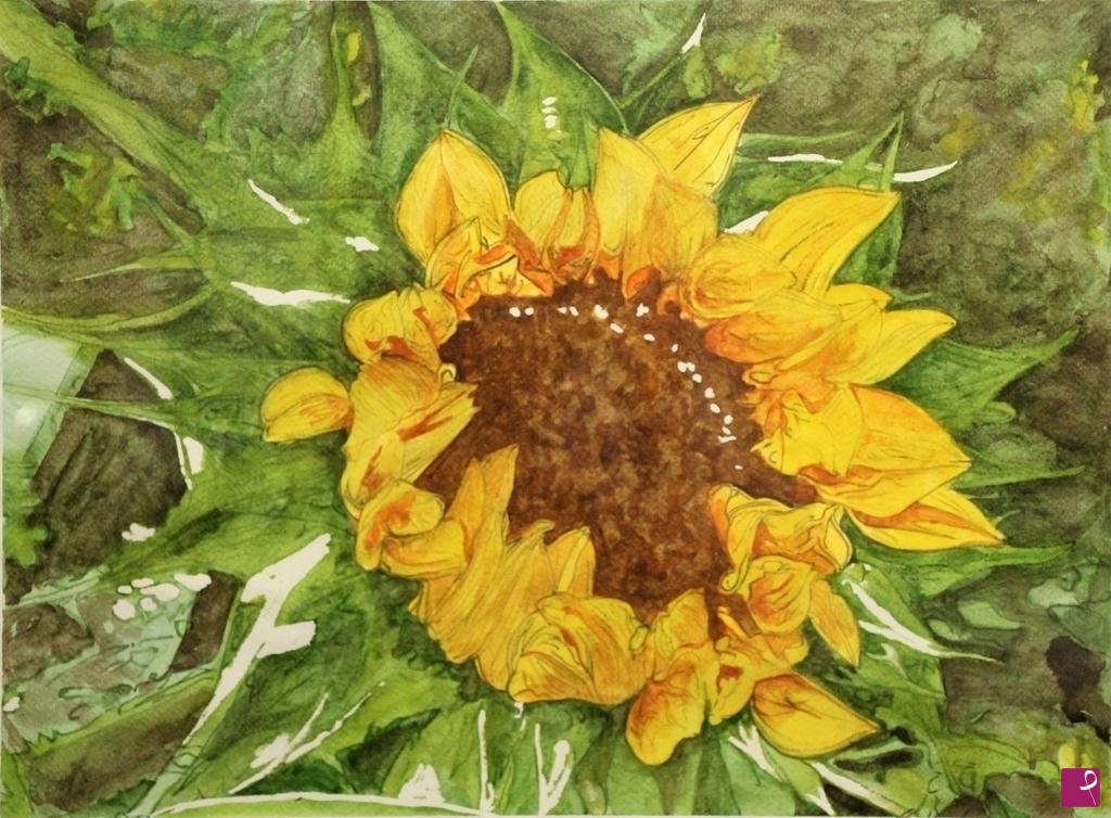 quadri in vendita online - Girasole nel verde