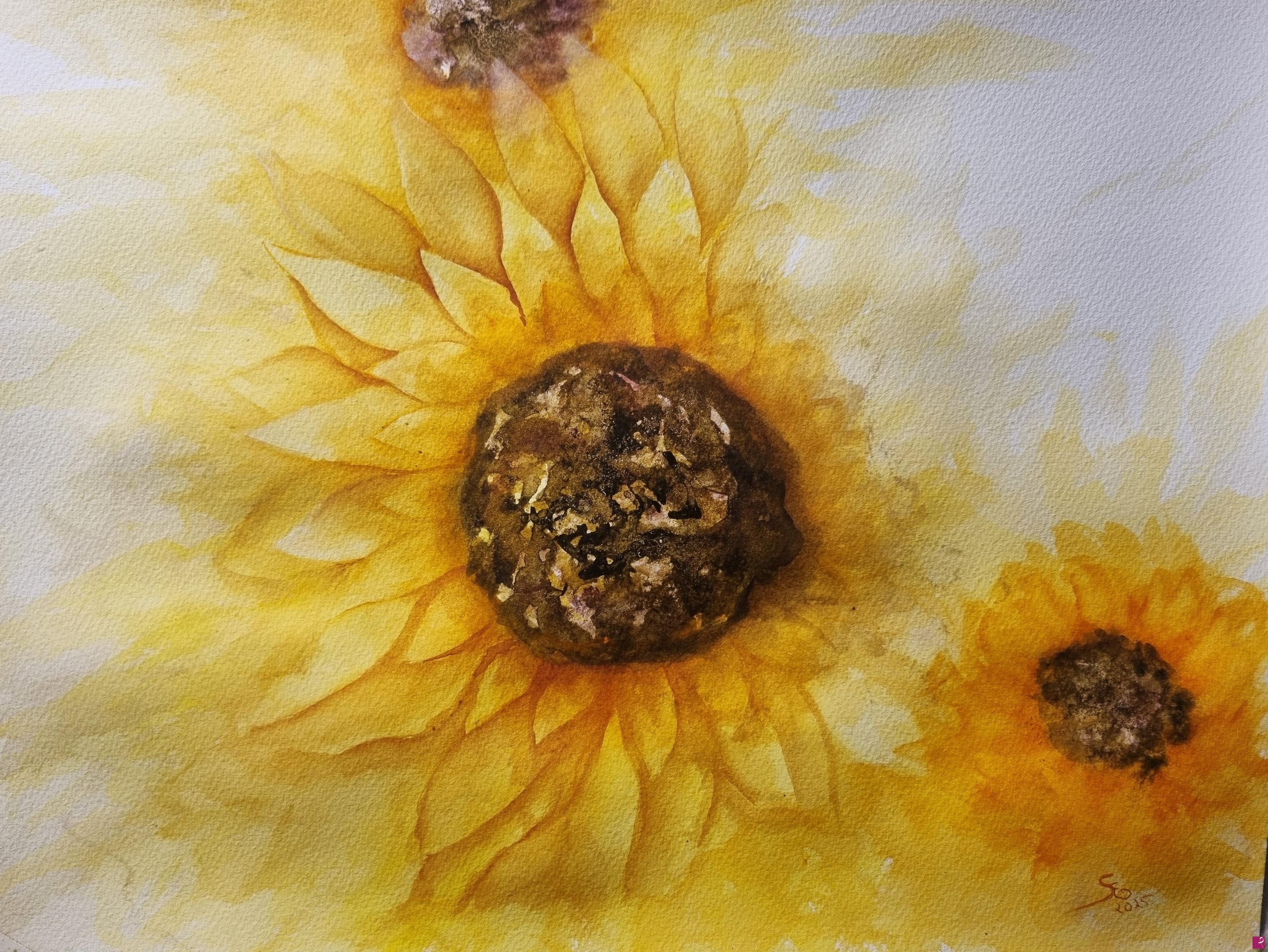 quadri in vendita online - Girasoli