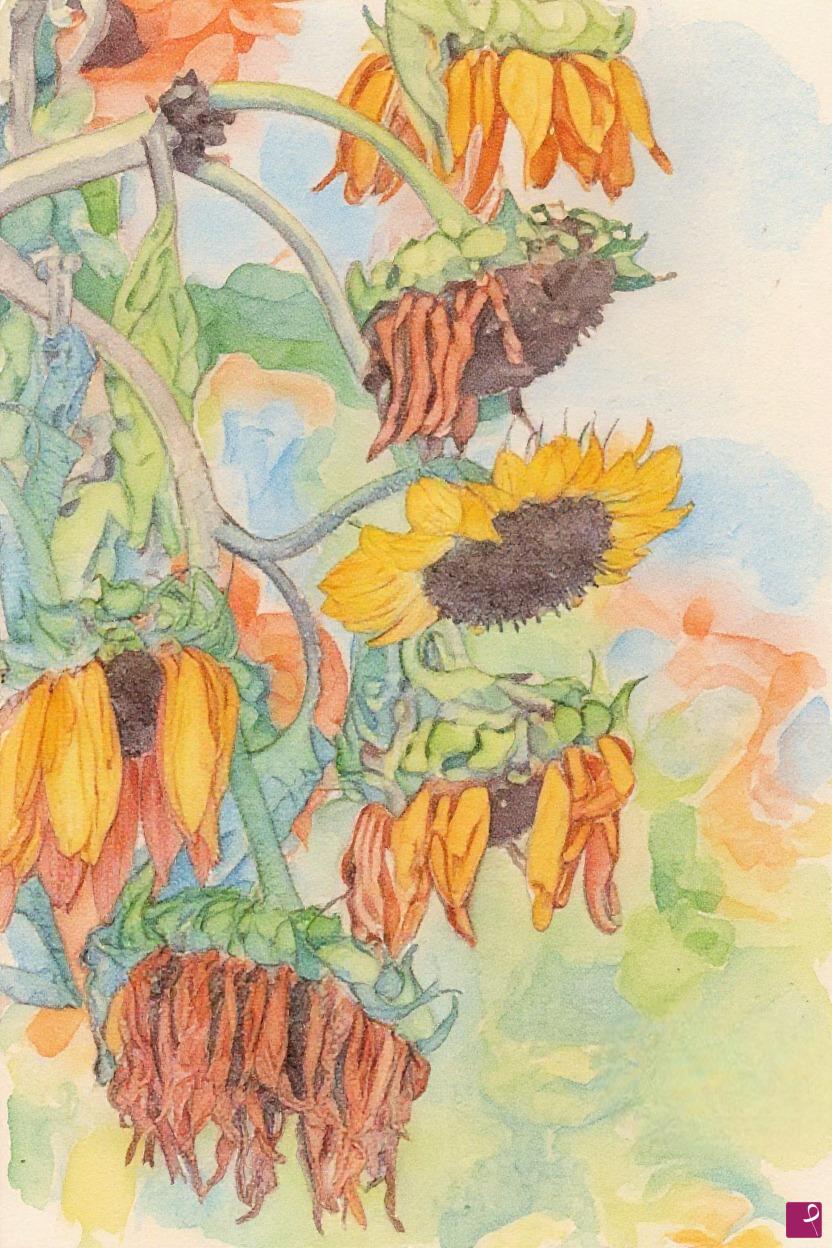 quadri in vendita online - Girasoli