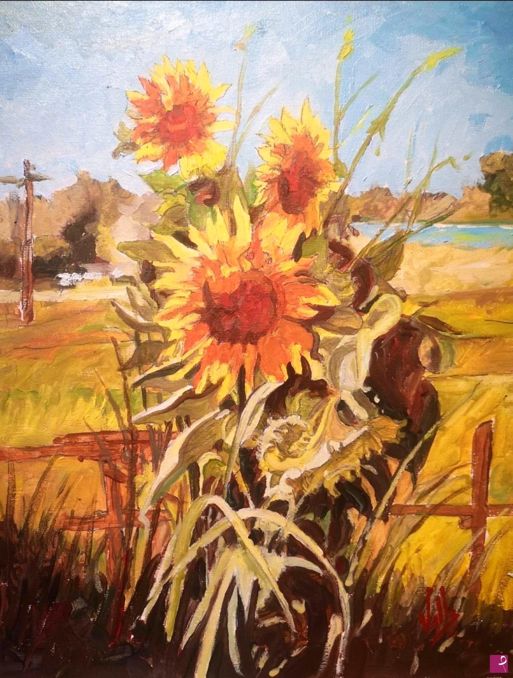 quadri in vendita online - Girasoli in ucraina