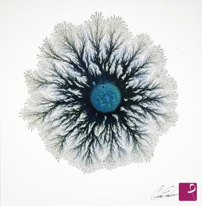 Quadro venduto su PitturiAmo