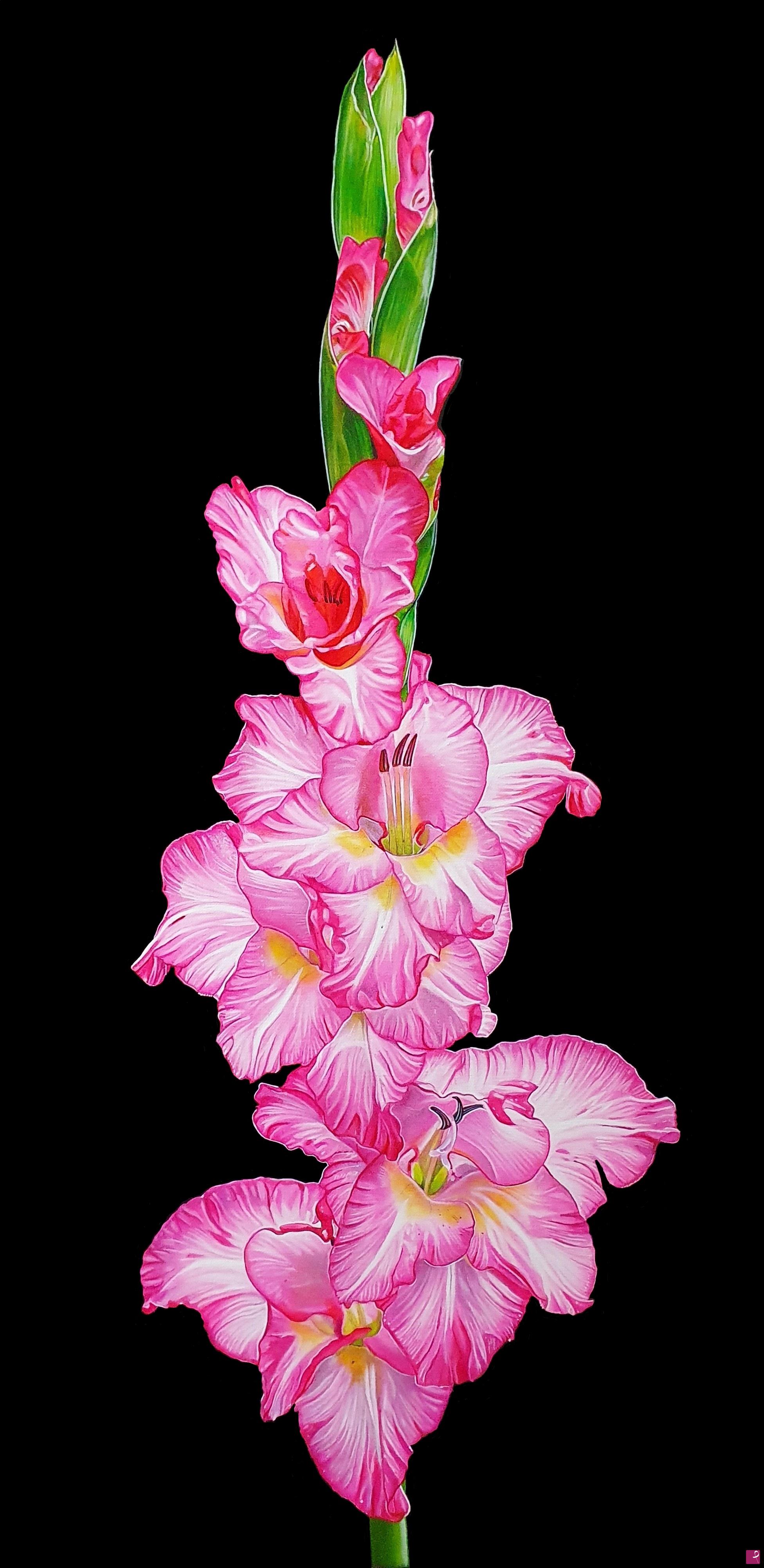 quadri in vendita online - "GLADIOLUS"