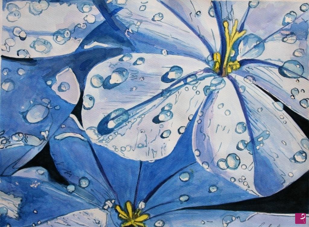 quadri in vendita online - Gocce di rugiada sui petali del fiore blu