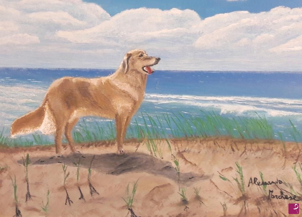 quadri in vendita online - Golden retriever 