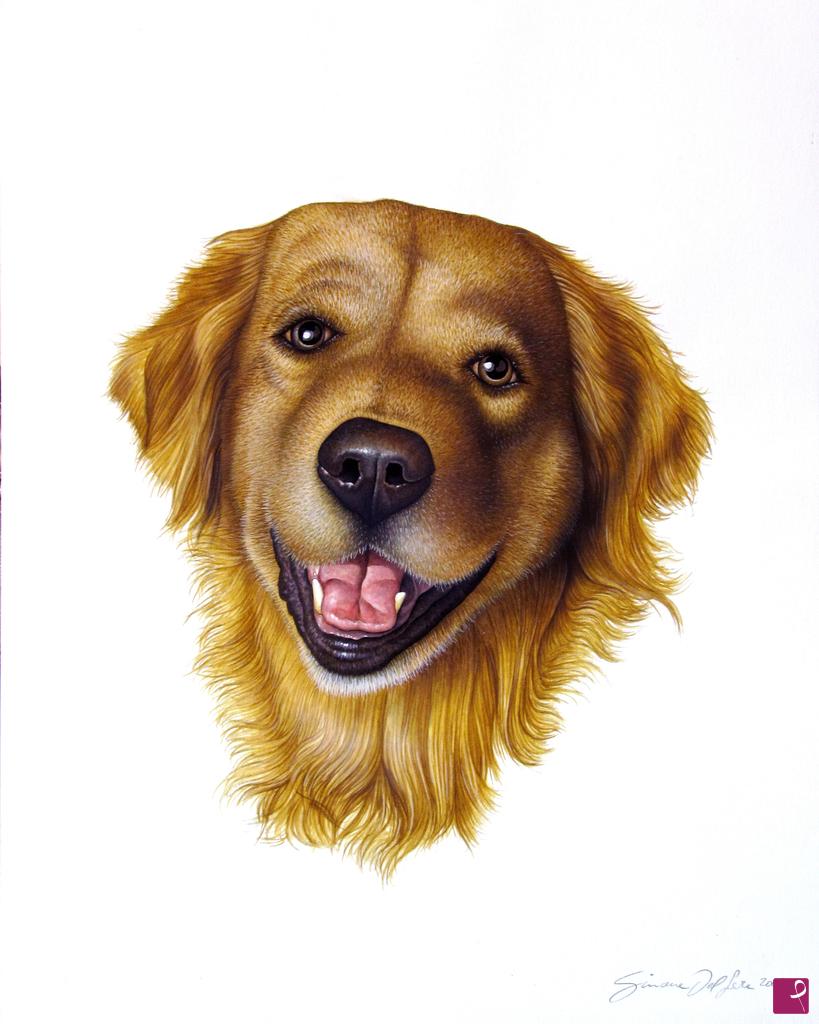 quadri in vendita online - Golden retriever